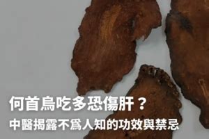 制首烏副作用|何首烏秋冬進補怎麼吃？醫列功效禁忌＋何首烏藥膳做。